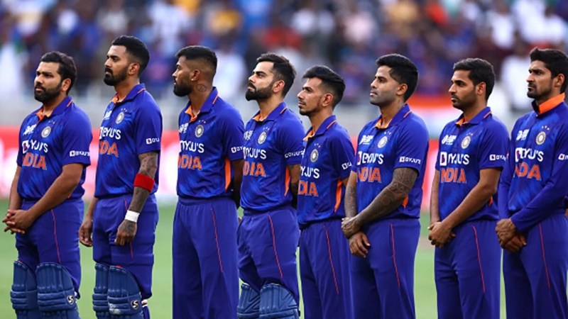Cricket Pic