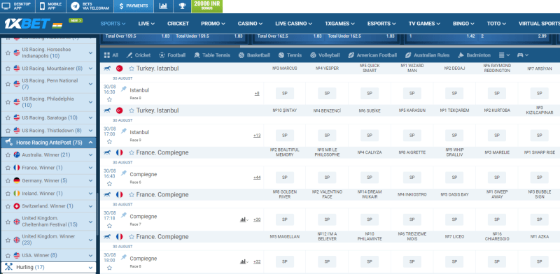 Get The Best Horse Racing Betting Experience With Racebets India