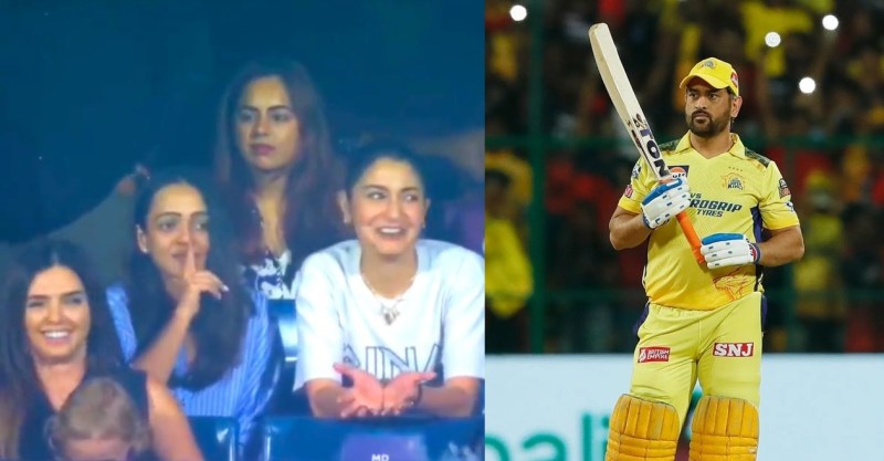 Ipl Cricket Bat