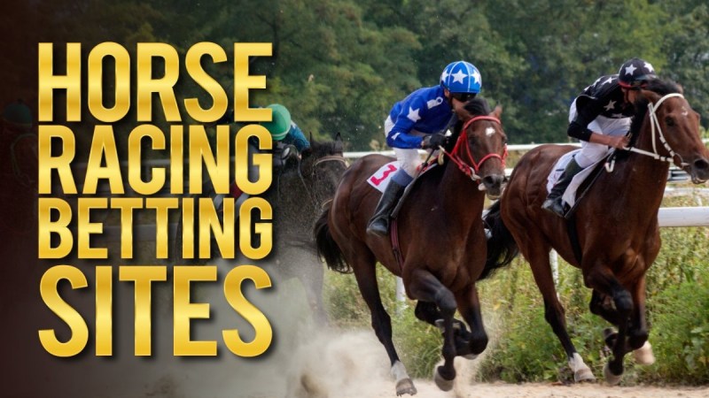 Join The Fun At Racebets: The Best Casino Site For Indian Players