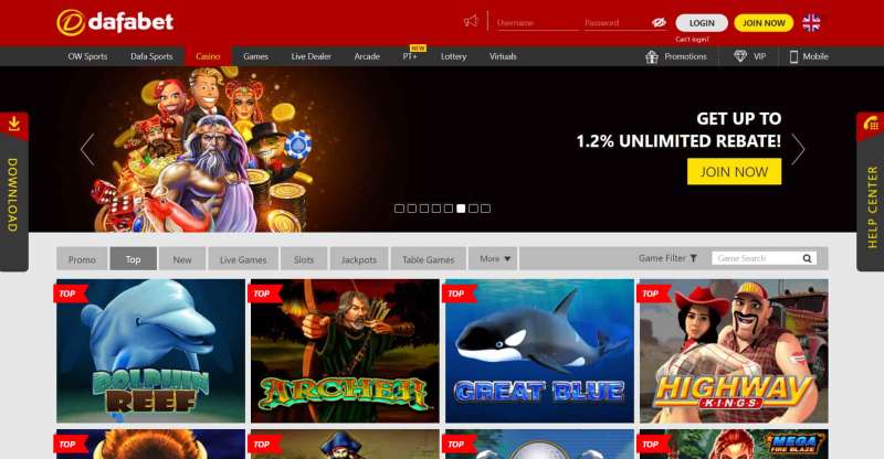 Looking For The Best Casino Site In India? Check Out Pure Win For Big Rewards