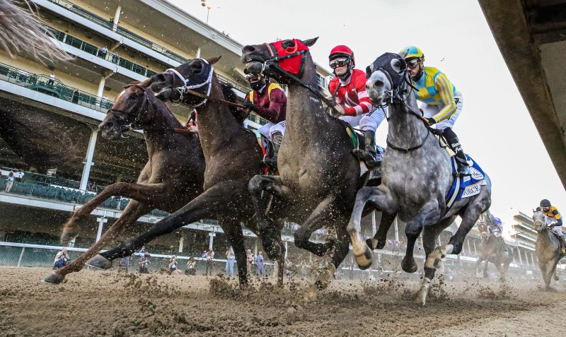 Racebets – The One-stop Destination For Horse Racing Betting!