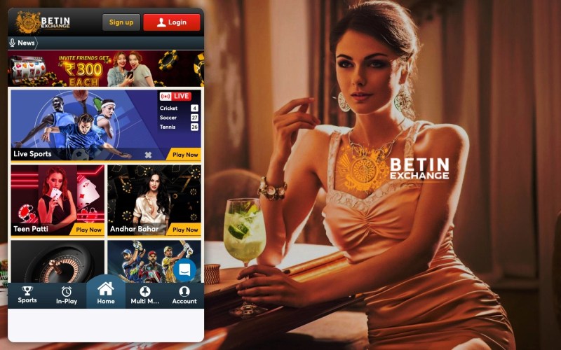 Marvelbet: Your Ultimate Destination for Betting Success Ethics